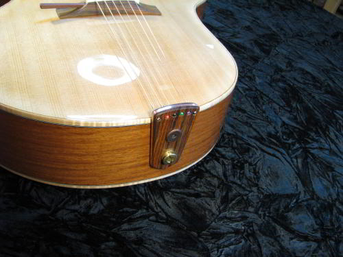 Tailpiece on the Ergocoustic