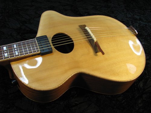 Ergo Acoustic Guitar