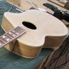 Forshage Acoustic Guitar - Observations