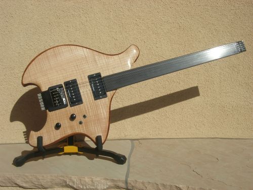 Fretless Equinox Electric Guitar