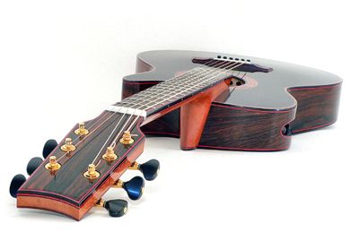 ergo guitar